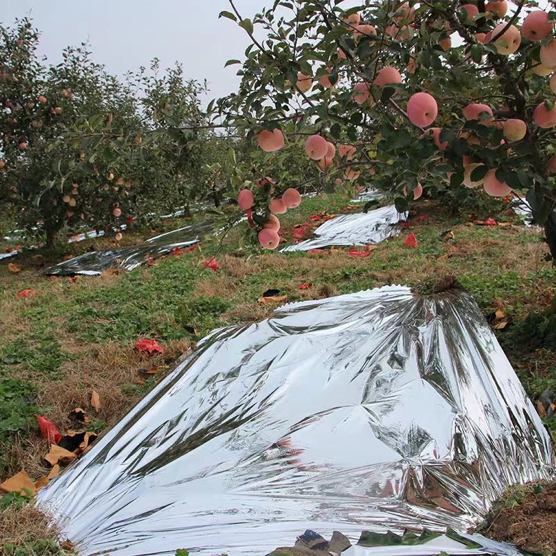 High Aluminum Layer Mirror Reflective Film Agricultural Mulch Film For High Aluminum Layer Mirror Reflective Film Agricultural Mulch Film For